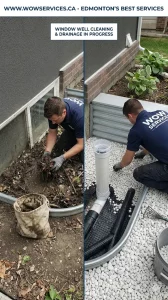 Window Well Cleaning & Drainage Edmonton