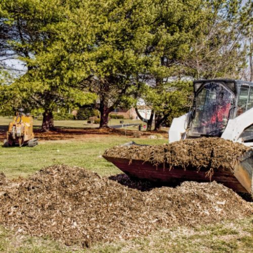 Bobcat-Clearing-Wood-Chips-768x512